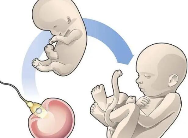 上海看不孕不育就选这三家医院专门针对身体提供合适方案