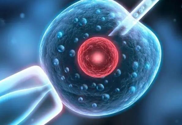 试管微方案能不能当月移植鲜胚，移植时间取决于个人身体情况