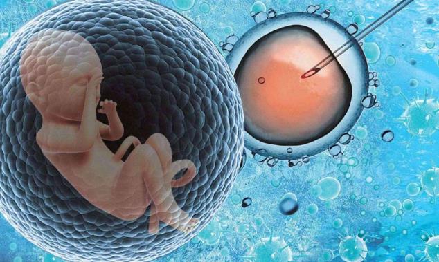 二代试管婴儿移植两个胚胎的新政策更新，了解相关价格差异