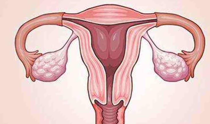 女性在试管婴儿移植前偶尔熬夜对胚胎着床有影响吗