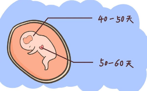 国外做赠卵试管助孕费用大概需要多少