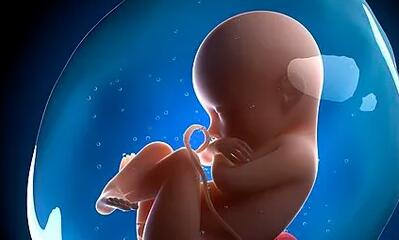 三代试管移植后多久会产，取决于你的怀胎时间